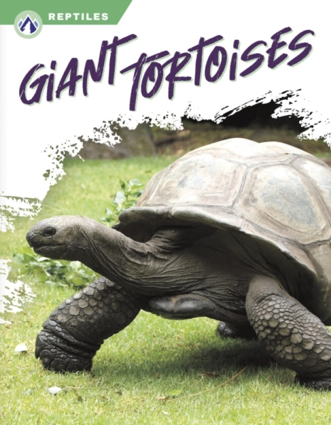 Giant Tortoises av Megan Gendell (Hardcover)