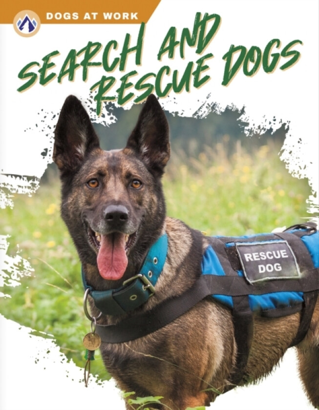 Search and Rescue Dogs av Matt Lilley (Hardcover)