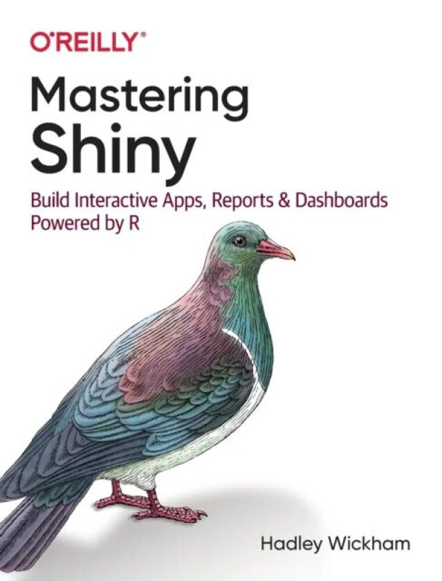 Mastering Shiny av Hadley Wickham