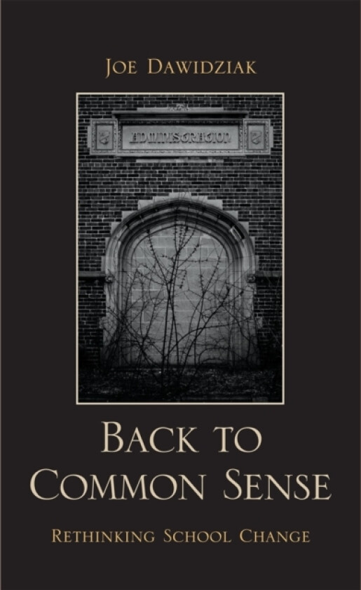 Back to Common Sense av Joe Dawidziak (Paperback)