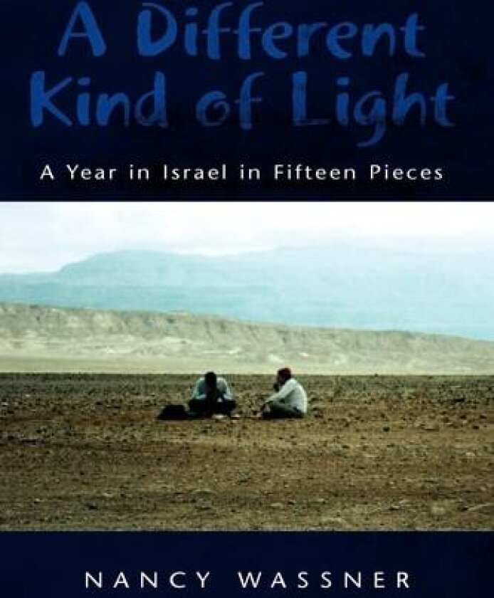 A Different Kind of Light av Nancy Wassner (Paperback)