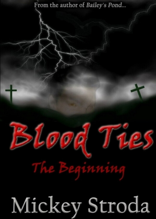 Blood Ties The Beginning av MICKEY STRODA (Paperback)