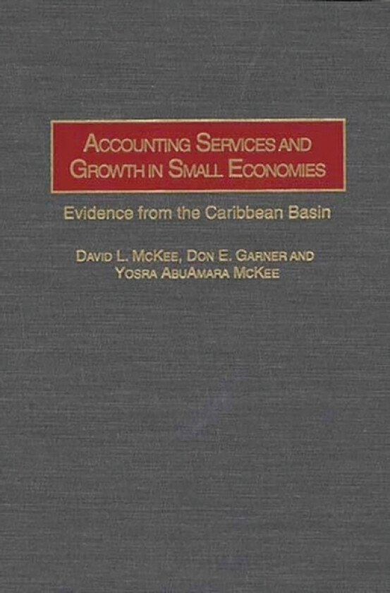 Accounting Services and Growth in Small Economies av Don E. Garner, David L. McKee, Yosra AbuAmara McKee (Hardcover)