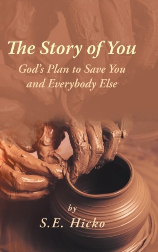 The Story of You av S E Hicko (Hardcover)