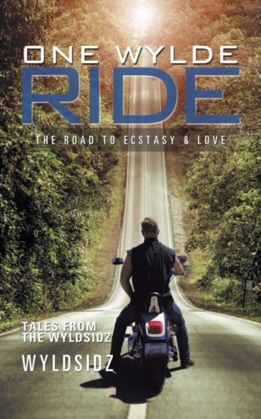 One Wylde Ride av Wyldsidz (Paperback)