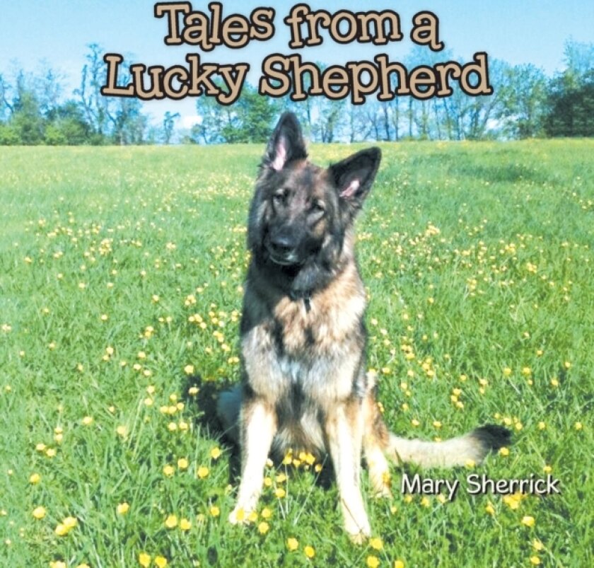 Tales from a Lucky Shepherd av Mary Sherrick (Paperback)