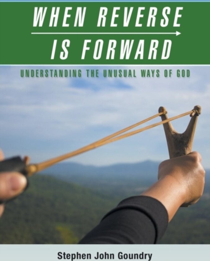 When Reverse Is Forward av Stephen John Goundry (Paperback)