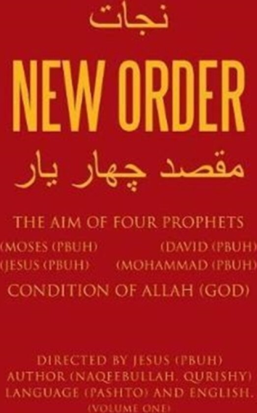 New Order av Naqeebullah Qurishy (Paperback)