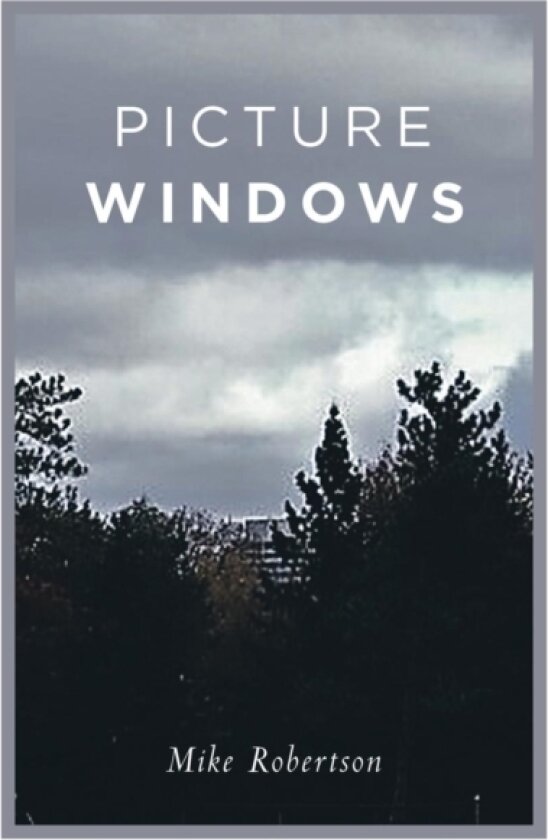 Picture Windows av Mike Robertson (Paperback)