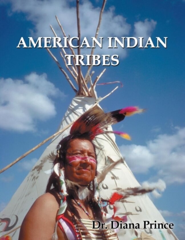 American Indian Tribes av Dr Diana Prince (Paperback)