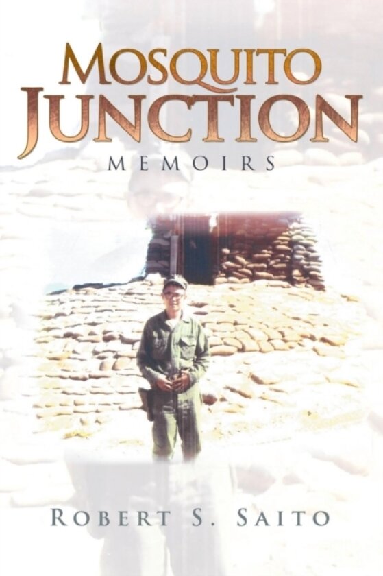 Mosquito Junction av Robert S Saito (Paperback)