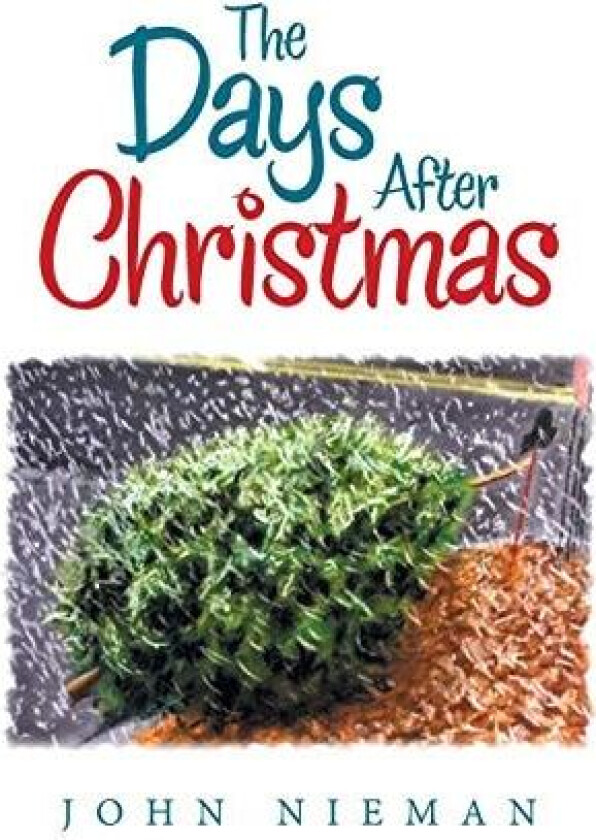 The Days After Christmas av John Nieman (Hardcover)
