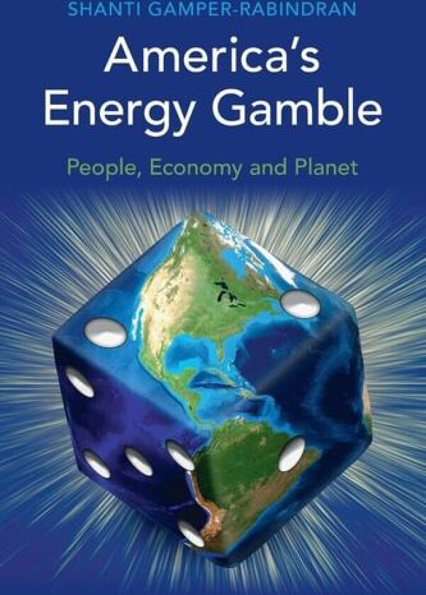 America's Energy Gamble av Shanti Gamper-Rabindran (Paperback)