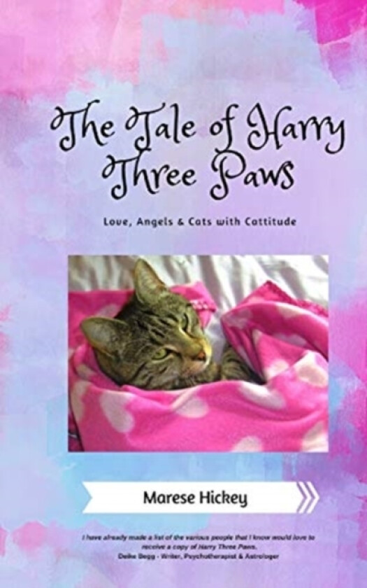 The Tale of Harry Three Paws av Marese Hickey (Paperback)