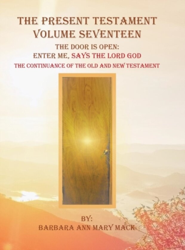 The Present Testament Volume Seventeen av Barbara Ann Mary Mack (Hardcover)