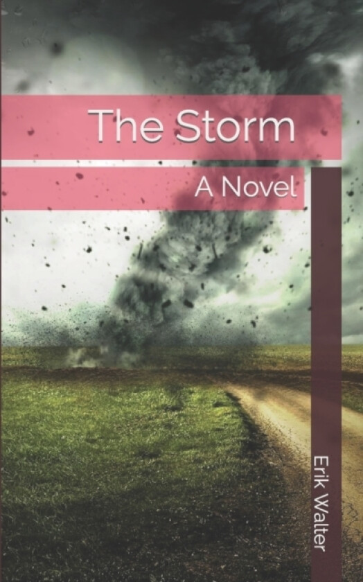 The Storm av Erik Walter (Paperback)