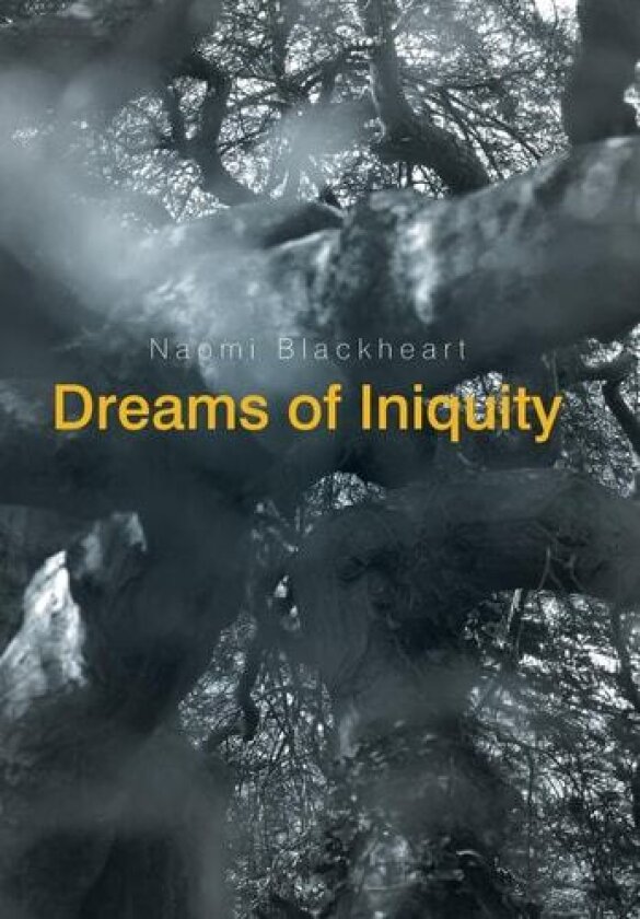 Dreams of Iniquity av Naomi Blackheart (Hardcover)