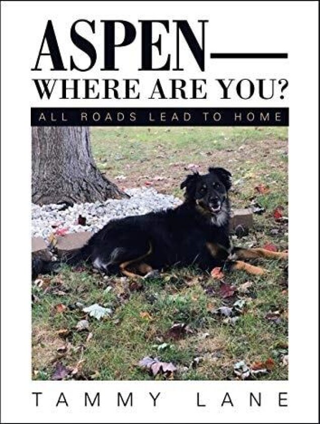 Aspen-Where Are You? av Tammy Lane (Paperback)