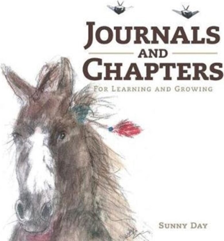 Journals and Chapters av Sunny Day (Paperback)