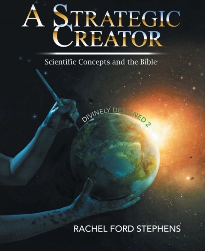 A Strategic Creator av Rachel Stephens (Paperback)
