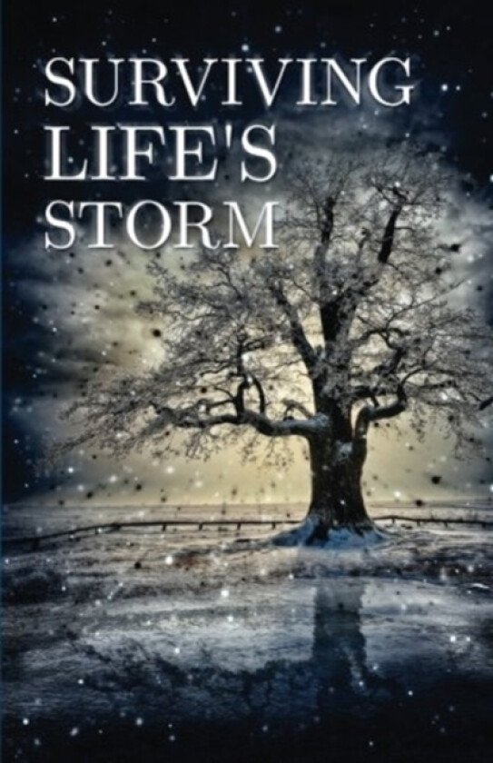 Surviving Life's Storm av T L Clause (Paperback)