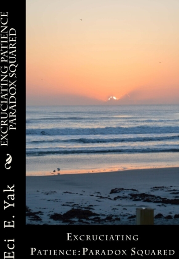 Excruciating Patience Paradox Squared av Arvillan Sag, Eci E Yak (Paperback)