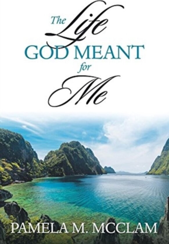 The Life God Meant for Me av Pamela M McClam (Paperback)