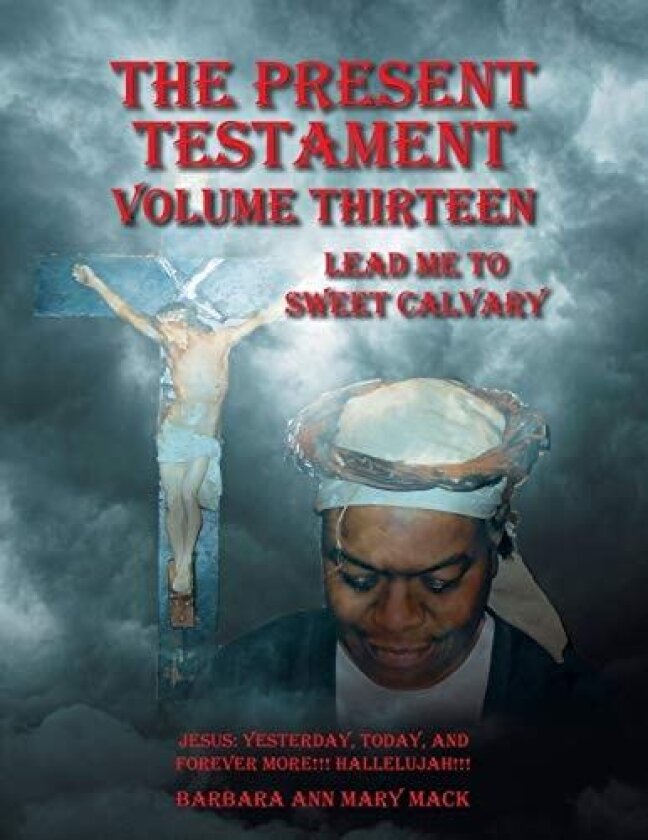 The Present Testament Volume Thirteen av Barbara Ann Mary Mack (Paperback)