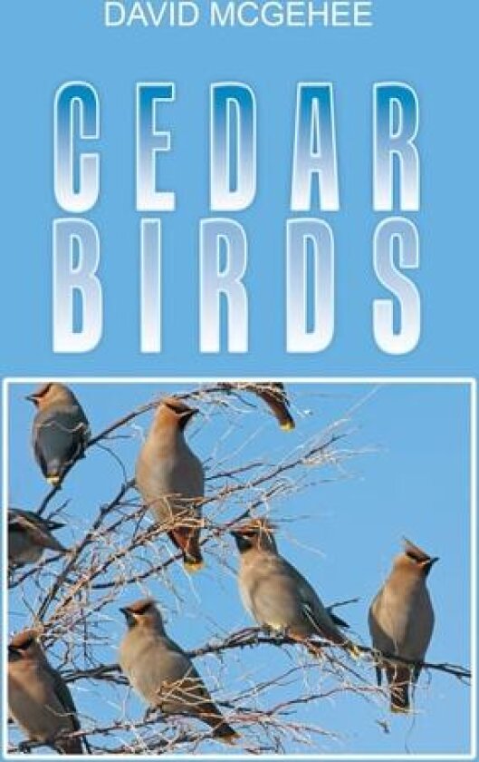Cedar Birds av David McGehee (Paperback)