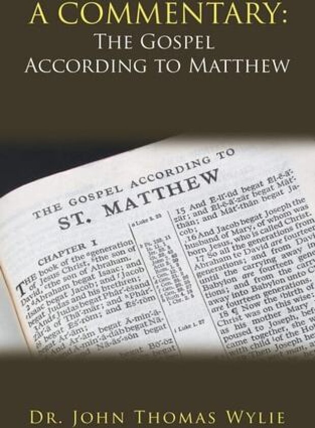 A Commentary: The Gospel According to Matthew av John Thomas Wylie (Paperback)
