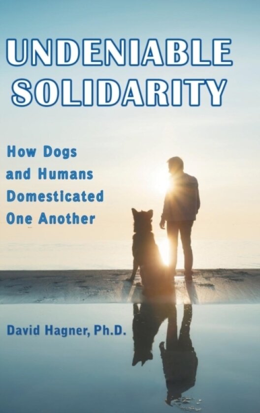 Undeniable Solidarity av David Hagner (Hardcover)