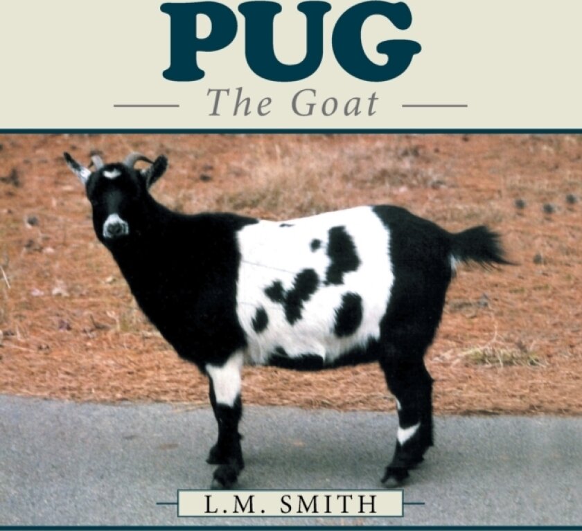 Pug av L M Smith (Paperback)