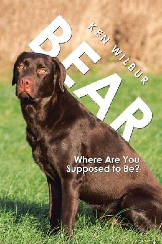 Bear: Where Are You Supposed to Be? av Ken Wilbur (Paperback)