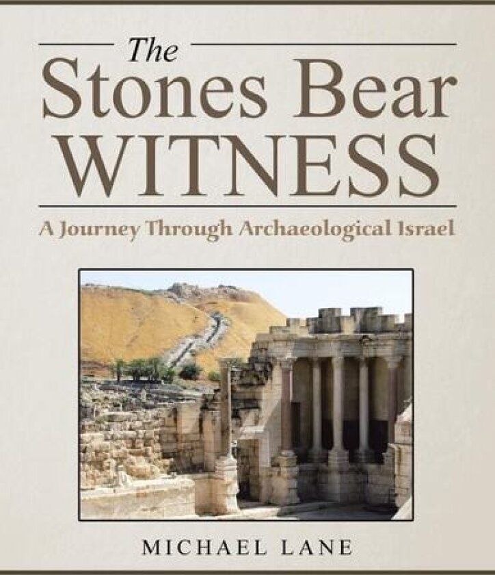 The Stones Bear Witness av Michael Lane (Paperback)
