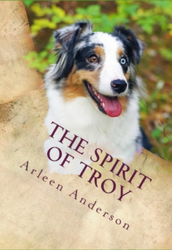 The Spirit of Troy av Arleen McFadden Anderson (Paperback)