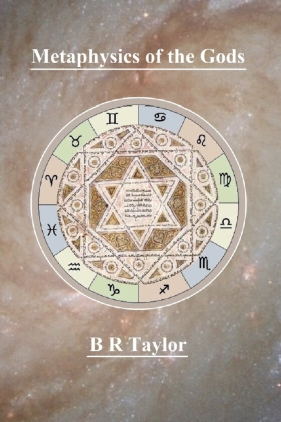 Metaphysics of the Gods av Brian Richard Taylor (Paperback)