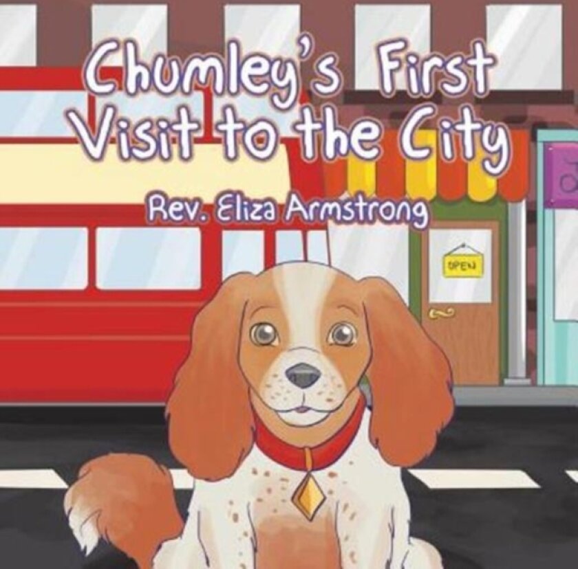 Chumley's First Visit to the City av REV Eliza Armstrong (Paperback)