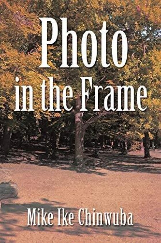 Photo in the Frame av Mike Ike Chinwuba (Paperback)