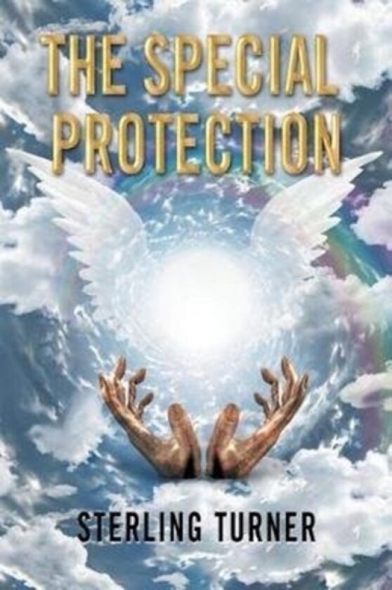 The Special Protection av Sterling Turner (Paperback)