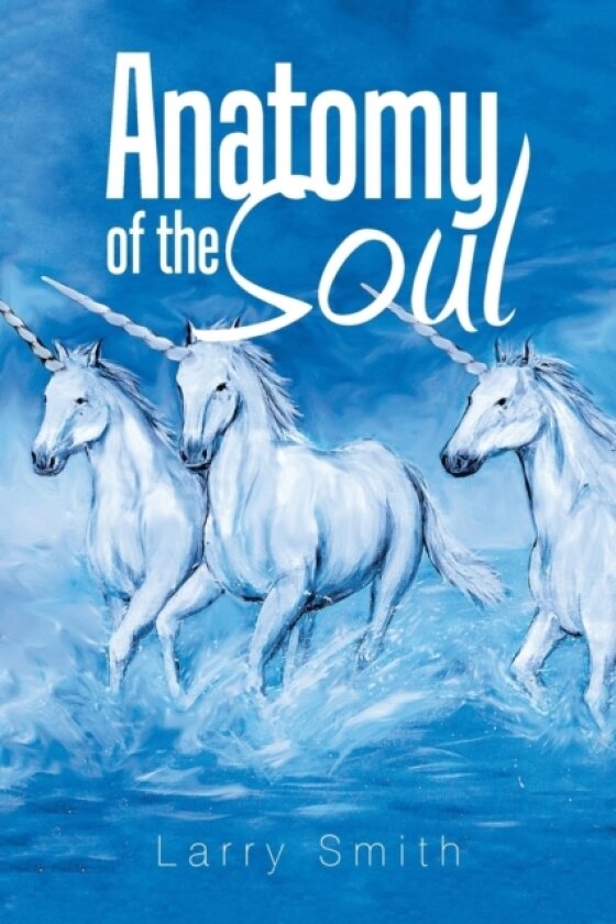 Anatomy of the Soul av Larry Smith (Paperback)
