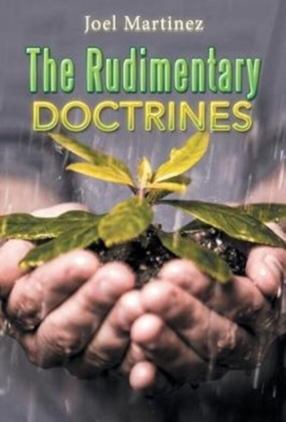 The Rudimentary Doctrines av Joel Martinez (Paperback)