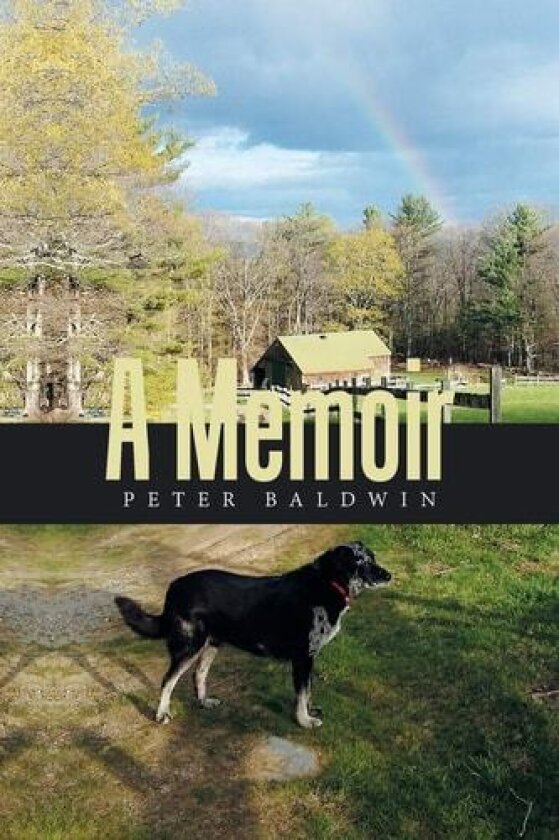 A Memoir av Peter Baldwin (Paperback)
