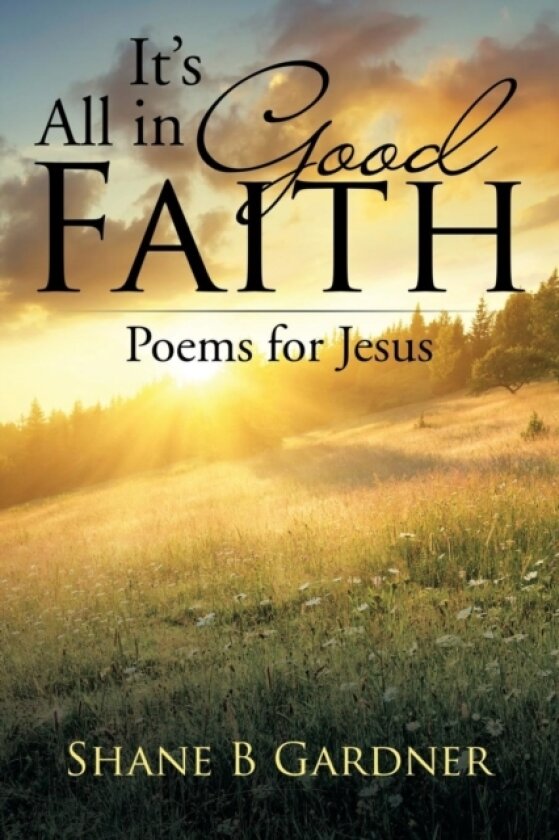 It's All in Good Faith av Shane B Gardner (Paperback)