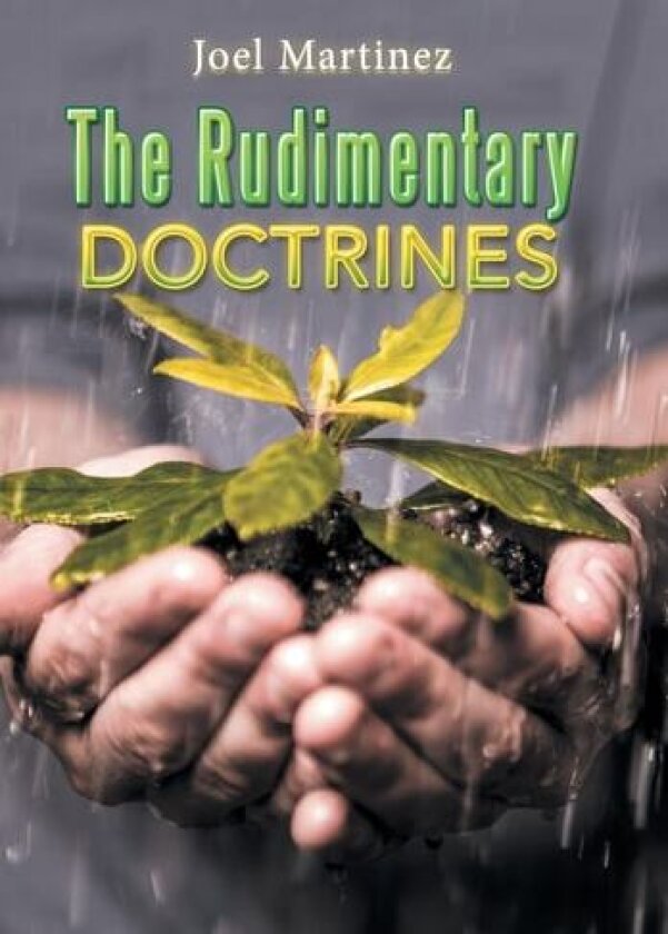 The Rudimentary Doctrines av Joel Martinez (Hardcover)