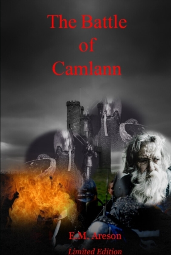 The Battle of Camlann av E M Areson (Paperback)