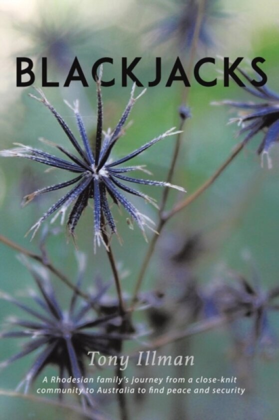Blackjacks av Tony Illman (Paperback)