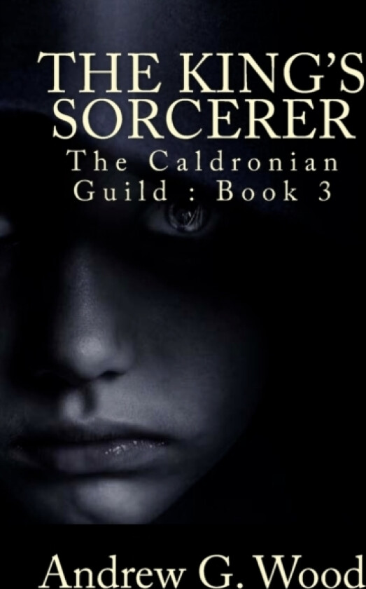 The King's Sorcerer av Andrew G Wood (Paperback)