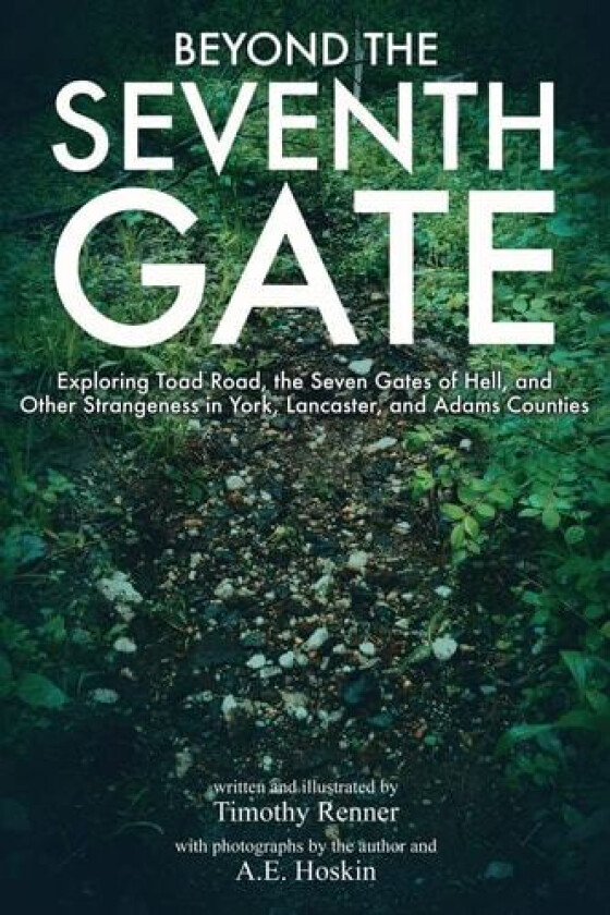 Beyond the Seventh Gate av Timothy Renner (Paperback)