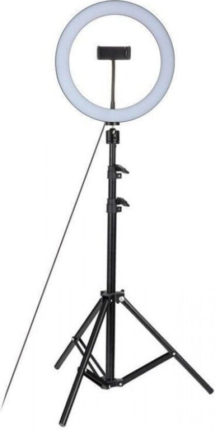 Pro Ring Light Studio - Ring Light for perfekte bilder og videoer