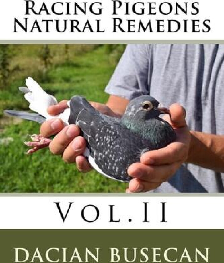 Racing Pigeons Natural Remedies Vol.II av Dacian Busecan (Paperback)